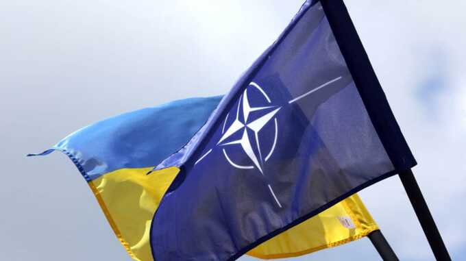 НАТО отвергло заявление Украины о вступлении в альянс