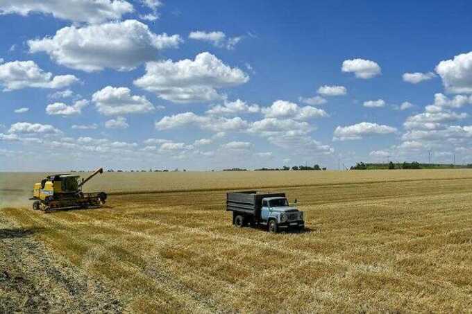 Польские аграрии критикуют ЕС за разрешение ввоза украинской продукции